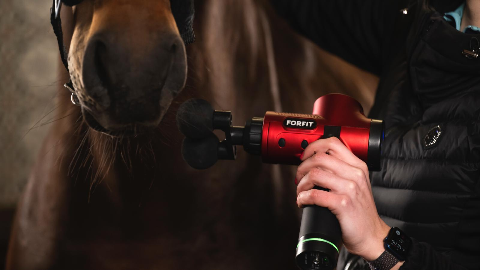 FOR HORSES